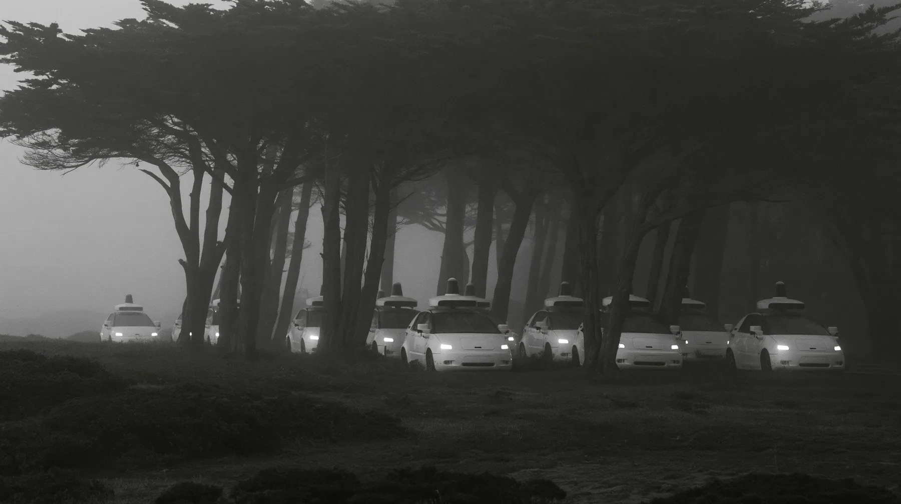 a dozen white driverless robotaxis stranded among cypress trees in the Presidio in thick fog at dawn, their roof sensors still spinning, headlights on, no people, monochrome, fine grain, no text, no letters, no logos