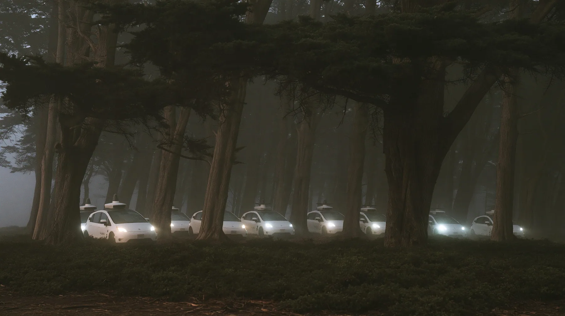 a dozen white driverless robotaxis stranded among cypress trees in the Presidio in thick fog at dawn, their roof sensors still spinning, headlights on, no people, monochrome, fine grain, no text, no letters, no logos