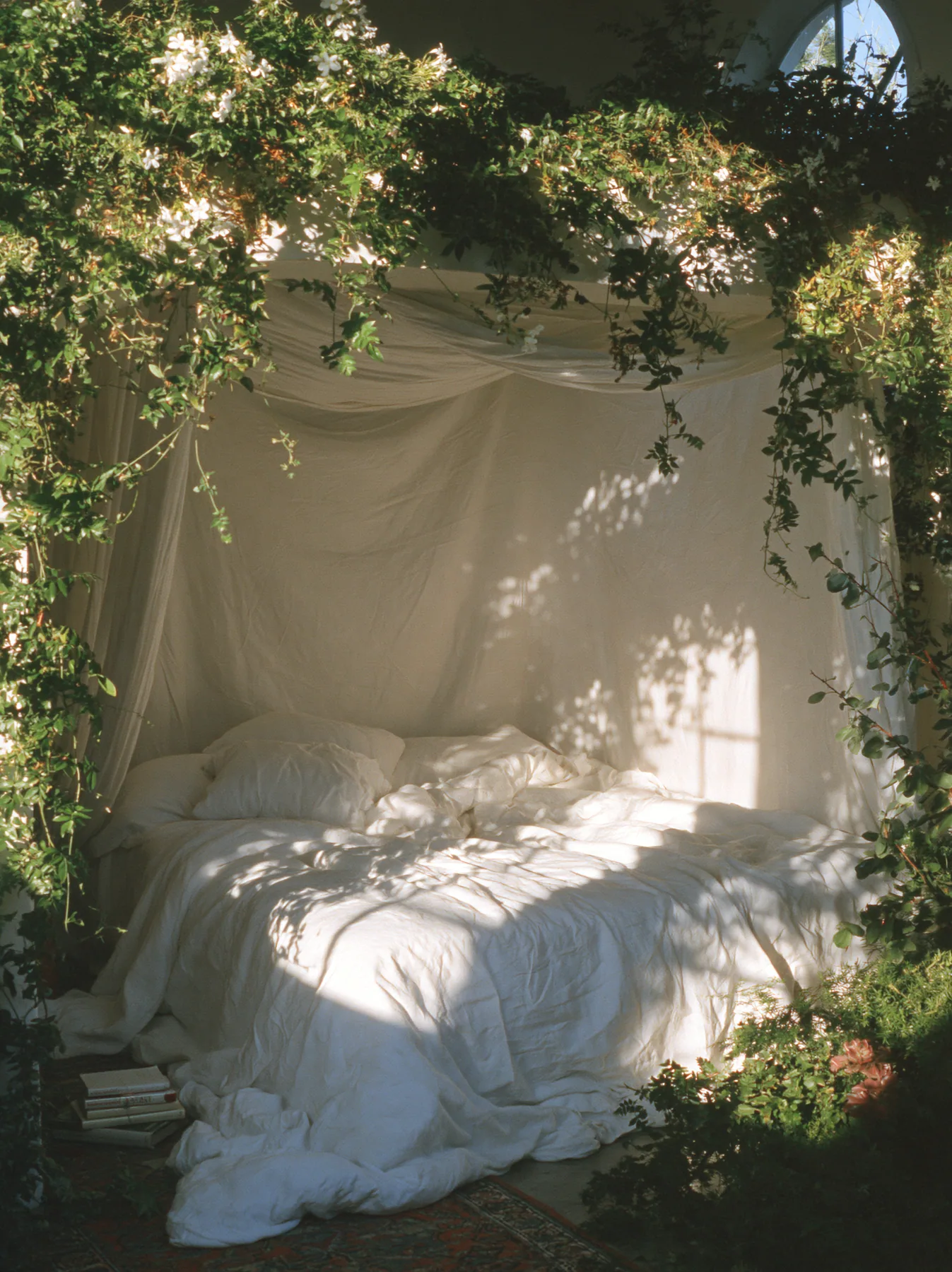a dreamy bedroom with a linen canopy bed and trailing plants, soft morning light, no text, no letters, no logos