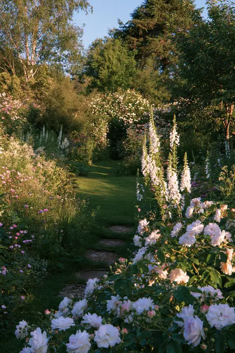a cottage garden path with foxgloves and roses at golden hour, no text, no letters, no logos