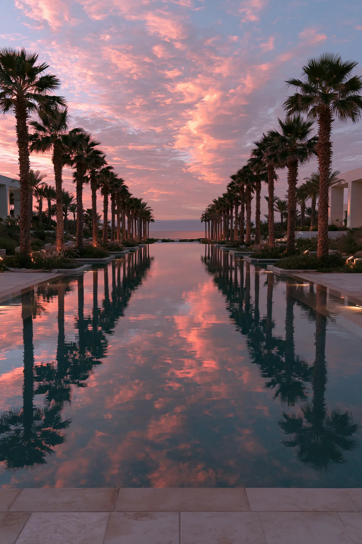 a pink sky over a still pool lined with palm trees, dusk, no text, no letters, no logos