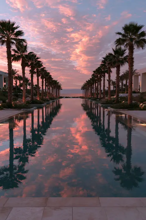 a pink sky over a still pool lined with palm trees, dusk, no text, no letters, no logos