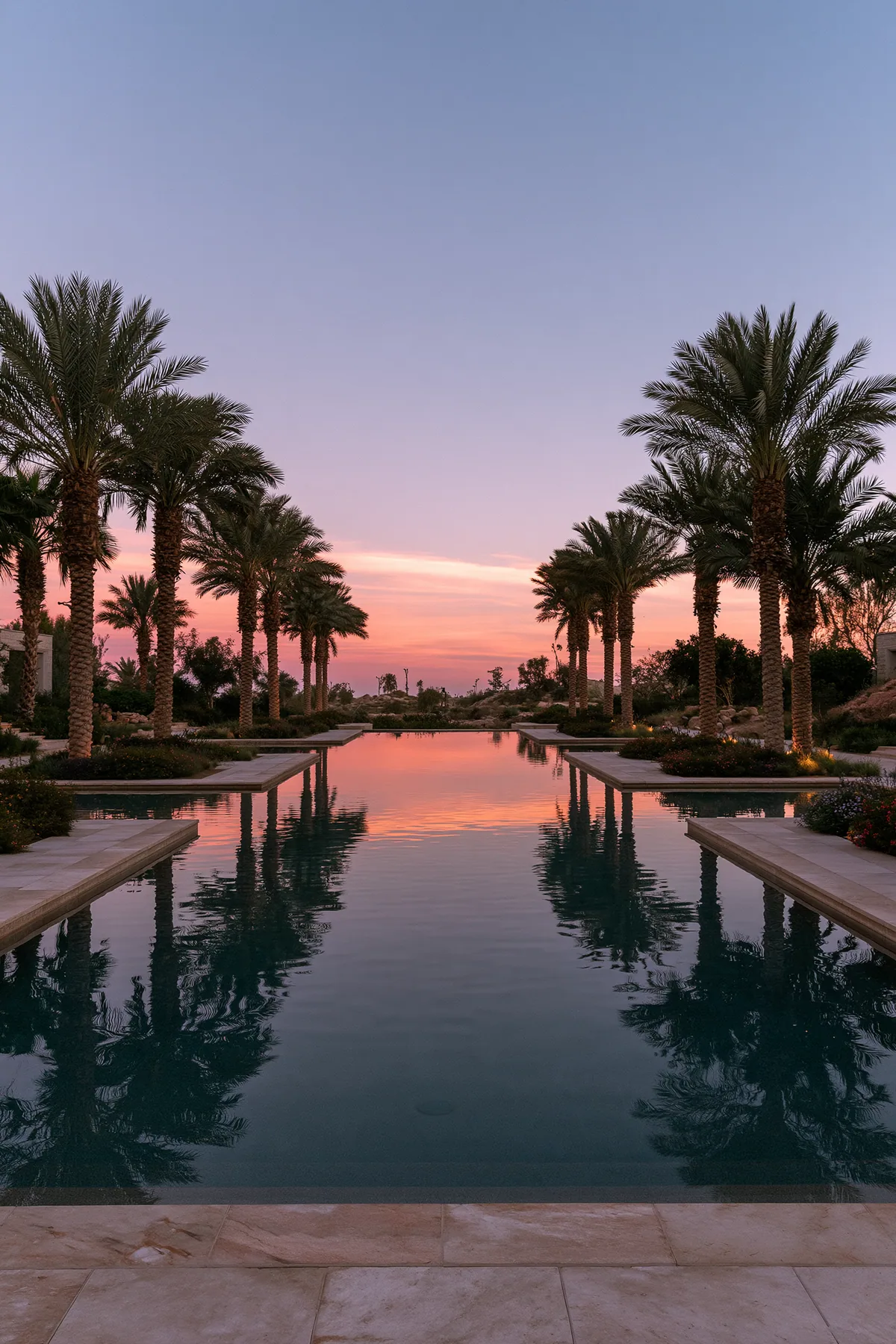 a pink sky over a still pool lined with palm trees, dusk, no text, no letters, no logos