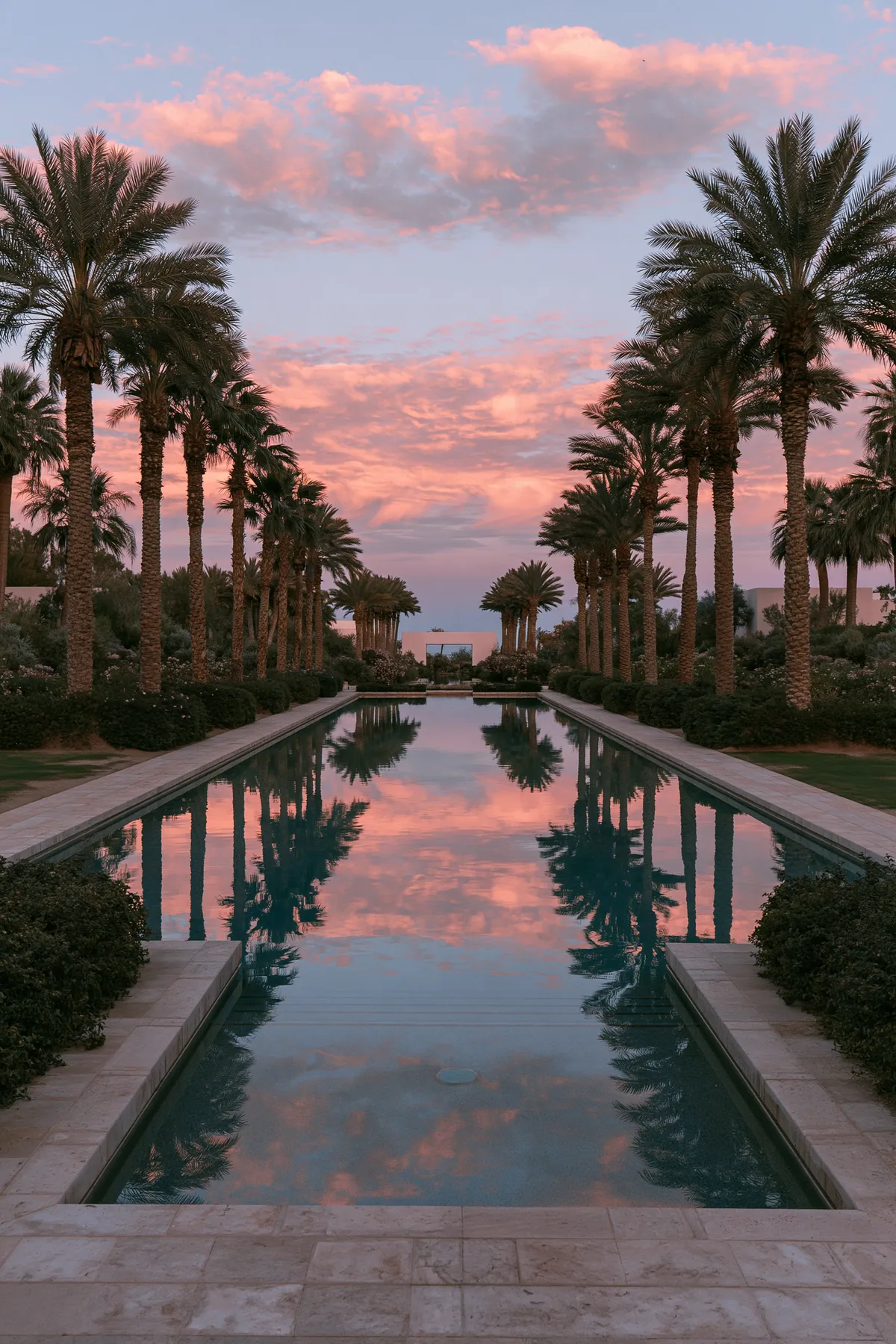 a pink sky over a still pool lined with palm trees, dusk, no text, no letters, no logos