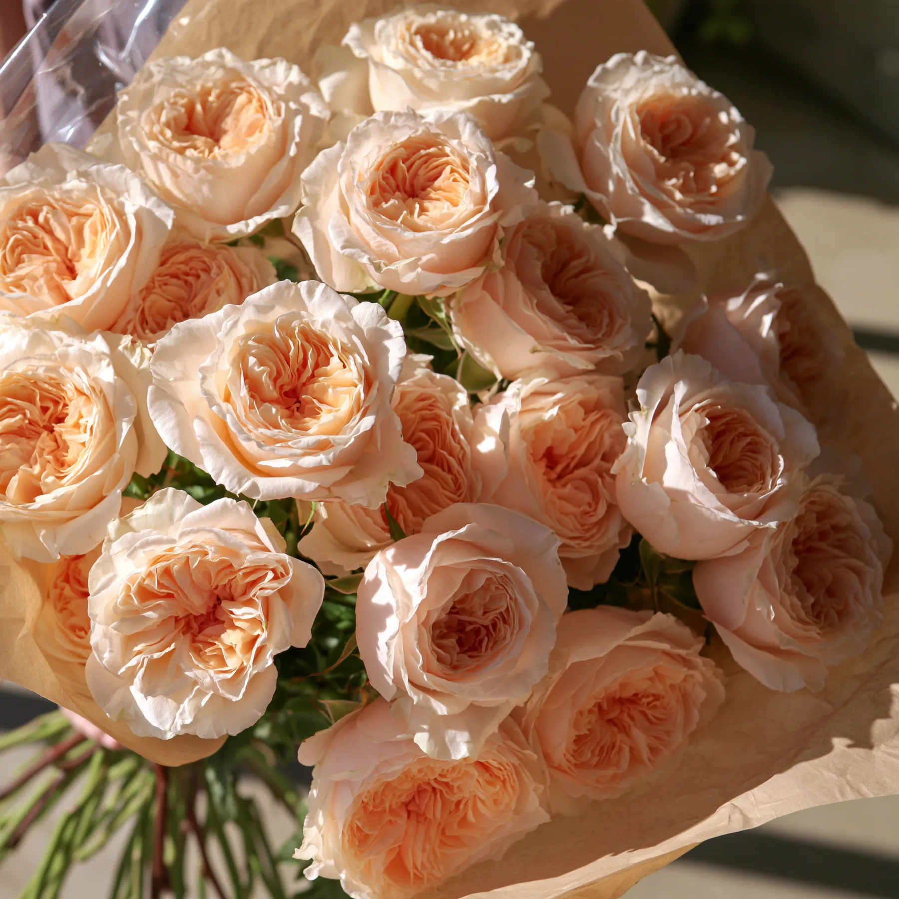 a bouquet of peach garden roses wrapped in paper, soft natural light, no text, no letters, no logos