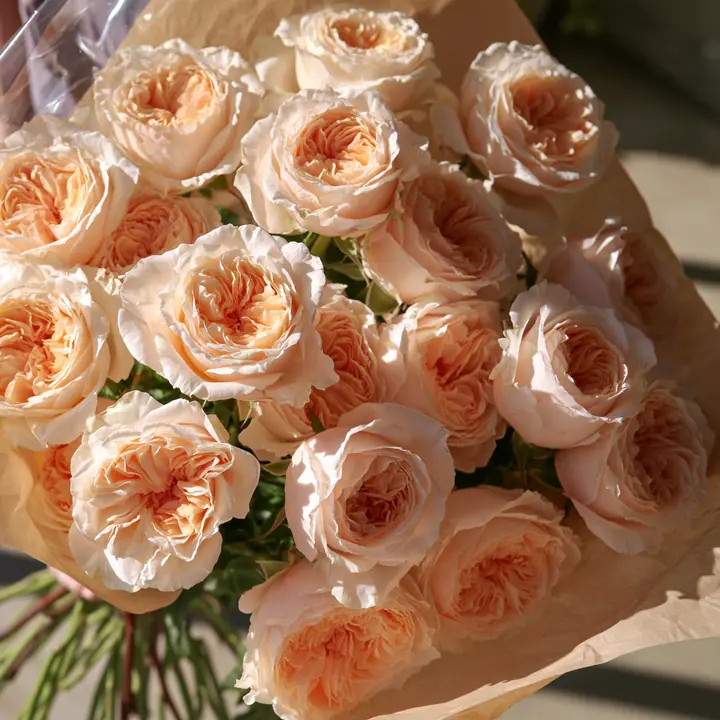 a bouquet of peach garden roses wrapped in paper, soft natural light, no text, no letters, no logos