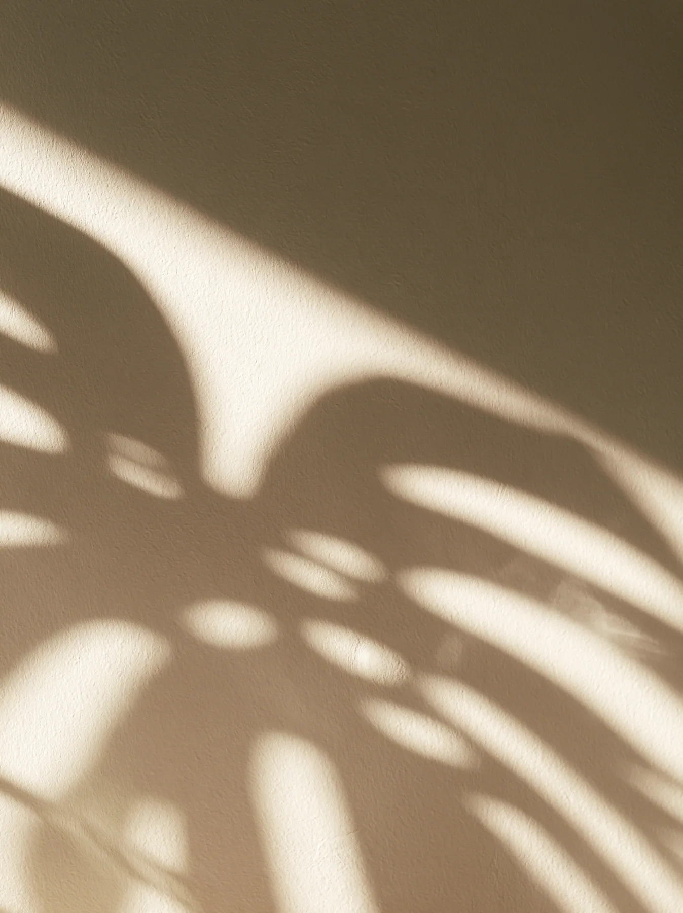the shadow of a monstera leaf on a warm white wall, minimal, no text, no letters, no logos