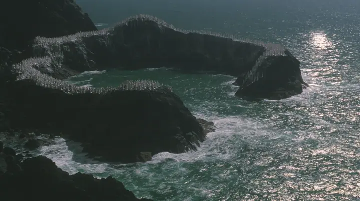high wide aerial of a ring of black sea stacks covered with hundreds of identical pale women in white gowns, all facing the same direction, night, moonlight on a black-teal sea, silver spray, cinematic 35mm film…