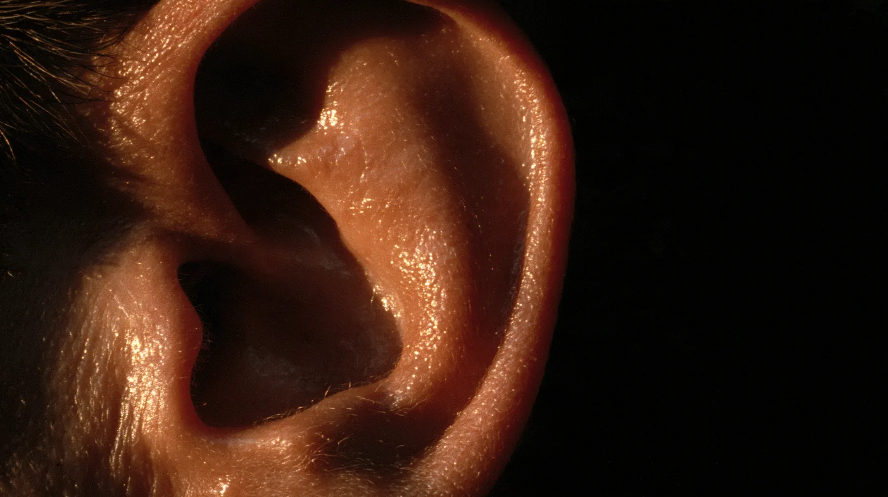extreme macro of a man's ear in darkness, gold rim light on the curve of the ear, the canal a black void, no text, no letters, no logos