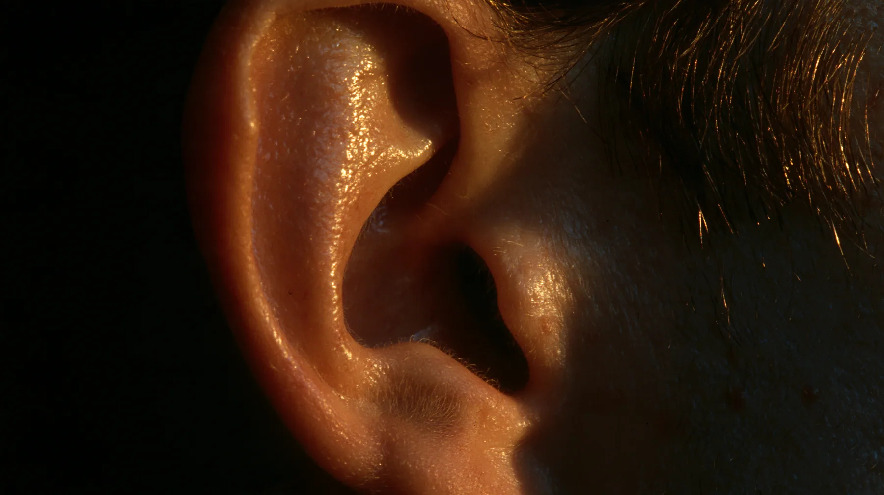extreme macro of a man's ear in darkness, gold rim light on the curve of the ear, the canal a black void, no text, no letters, no logos