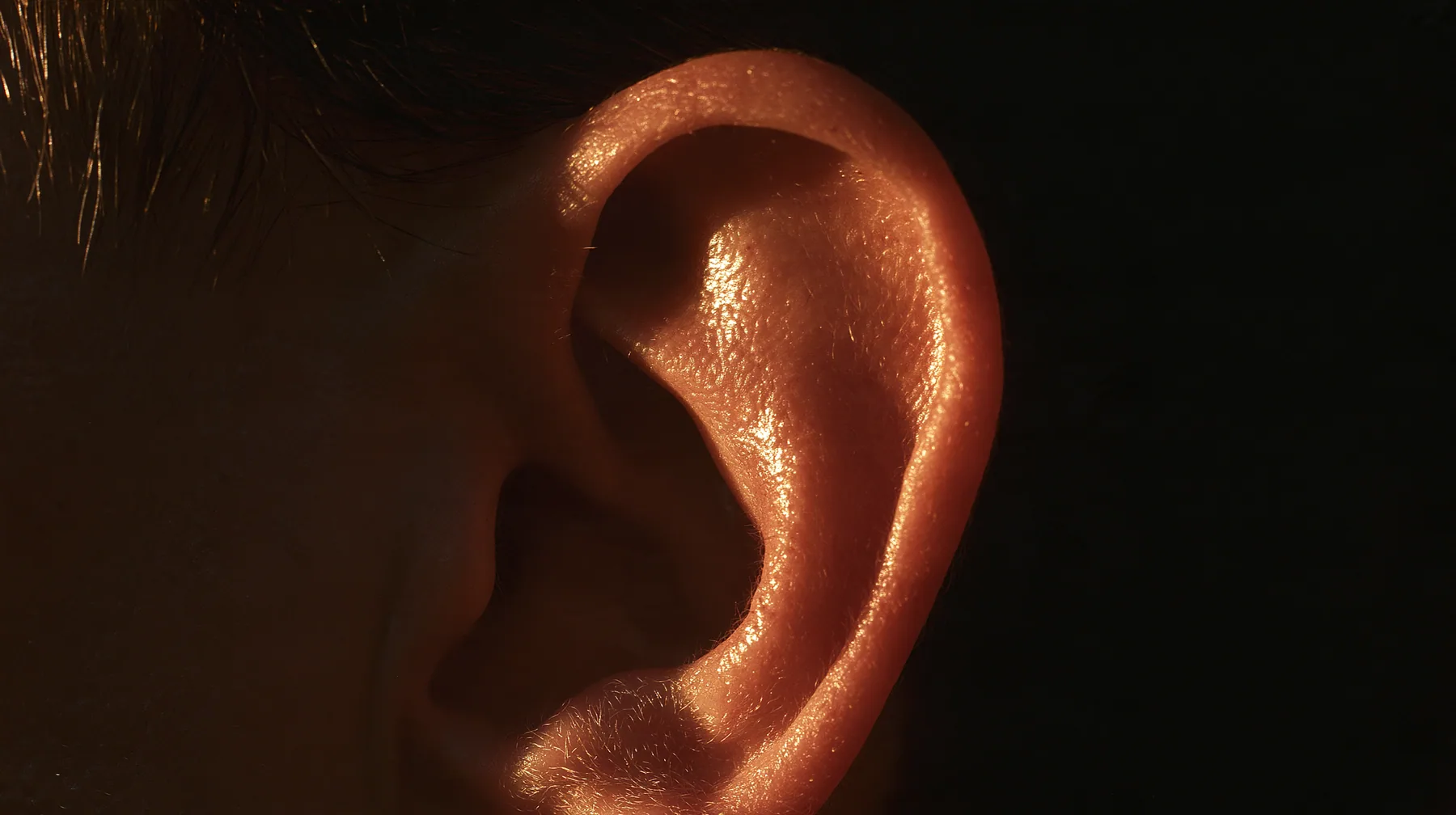 extreme macro of a man's ear in darkness, gold rim light on the curve of the ear, the canal a black void, no text, no letters, no logos