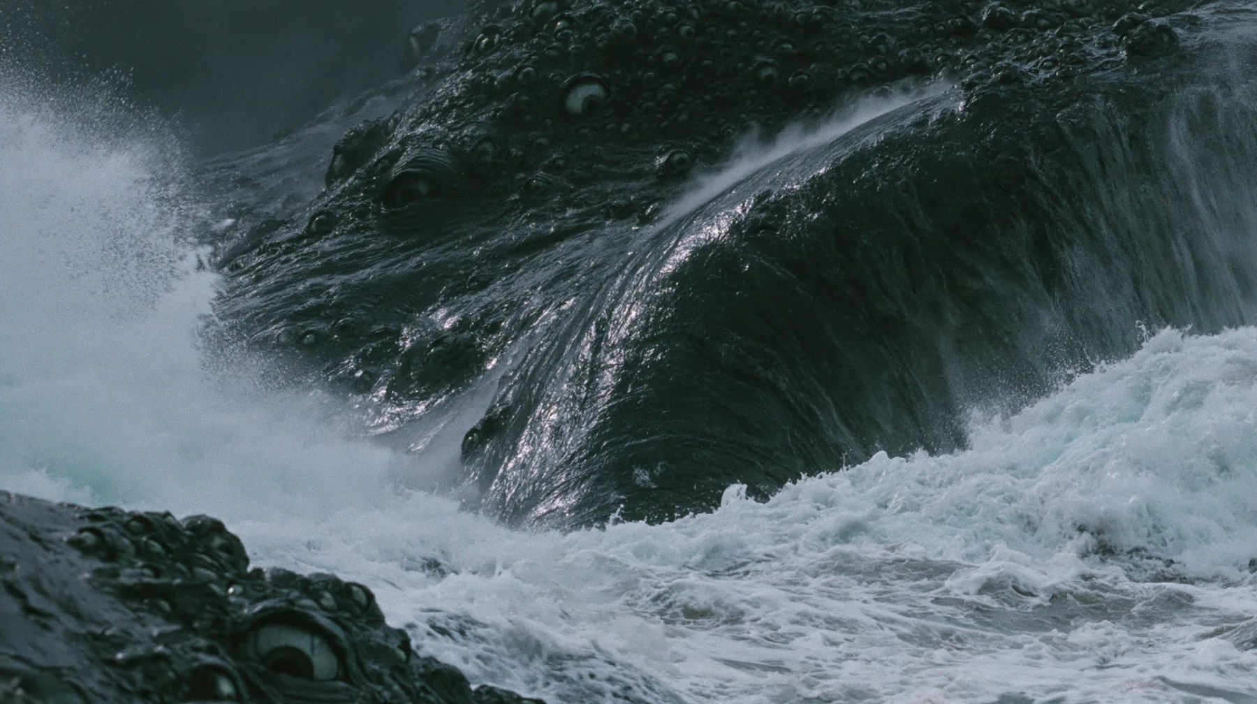close shot of the glistening black-green flank of a colossal sea creature covered in eyes, a few of them opening, grey first light before sunrise, heavy spray, cinematic 35mm film still, anamorphic, fine grain, no…