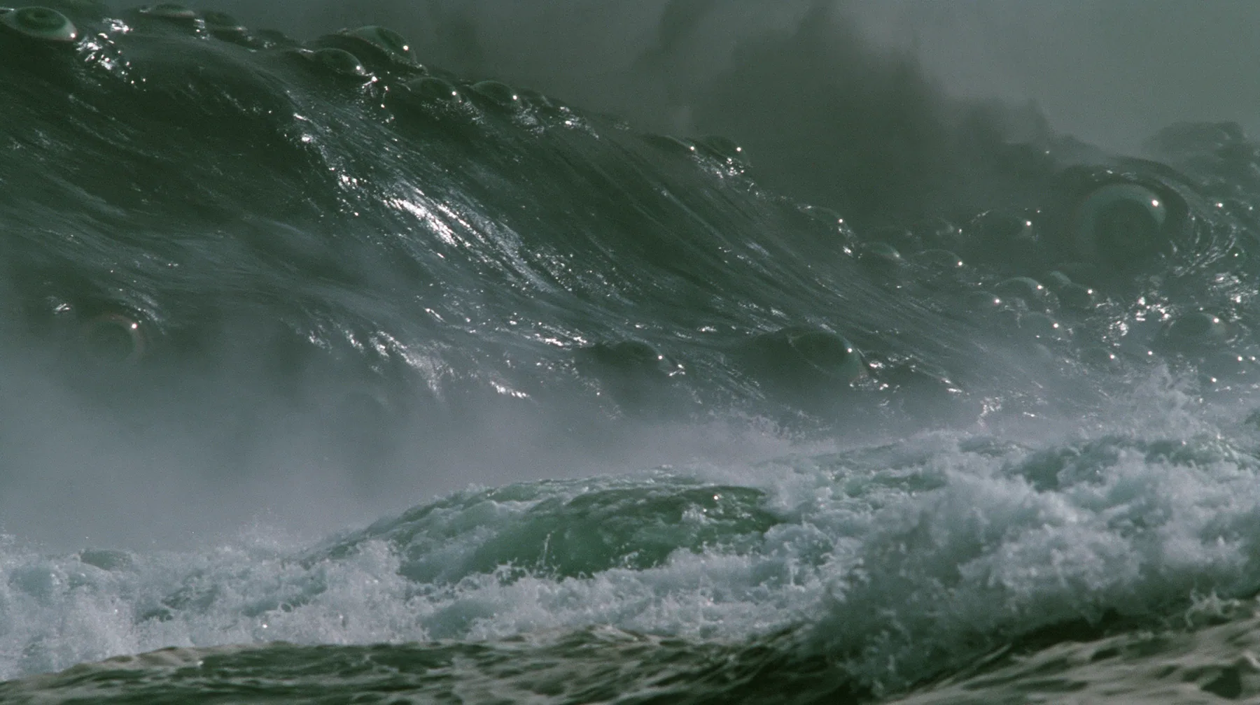 close shot of the glistening black-green flank of a colossal sea creature covered in eyes, a few of them opening, grey first light before sunrise, heavy spray, cinematic 35mm film still, anamorphic, fine grain, no…