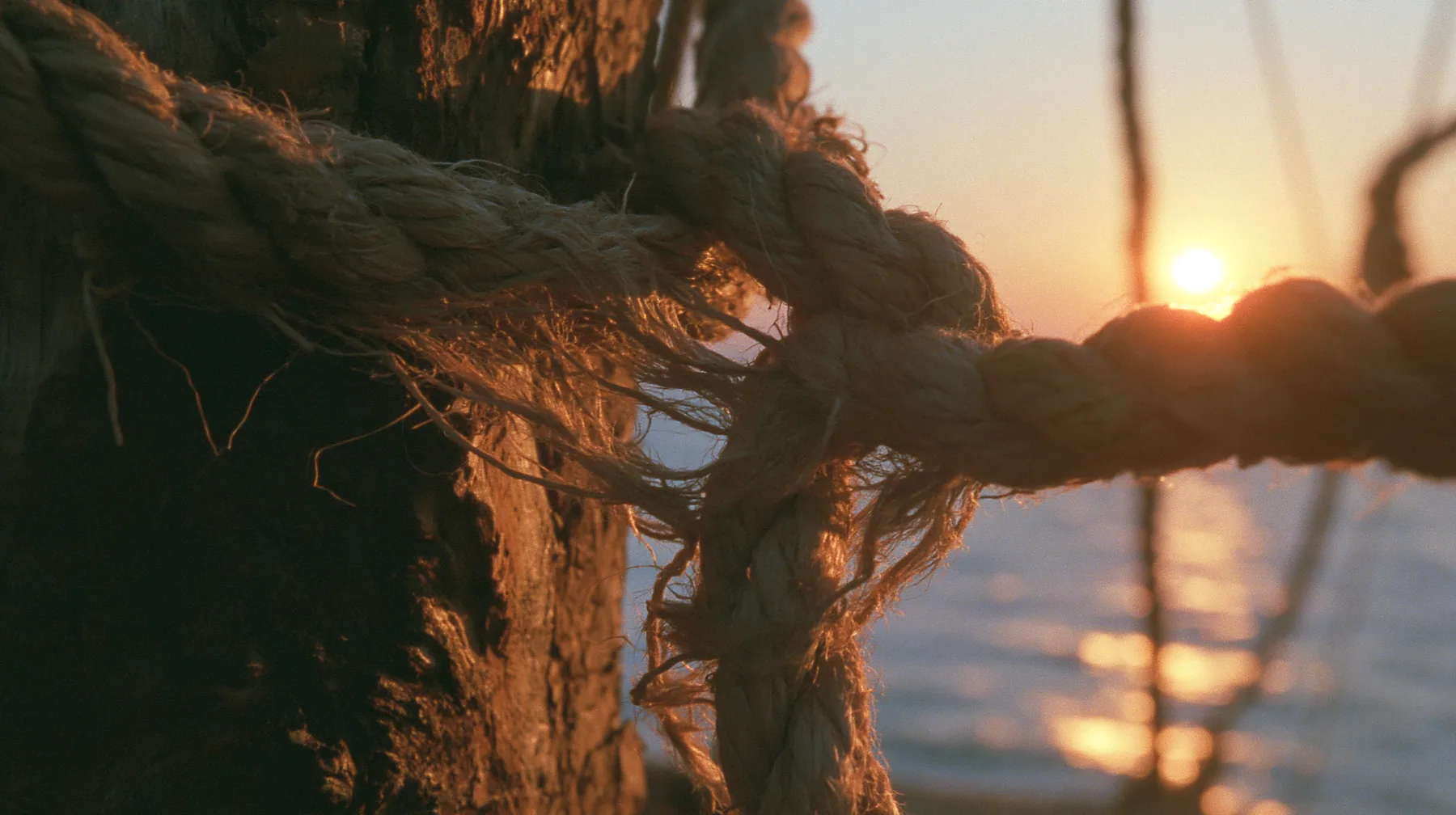 macro of hemp rope fibres fraying under strain around a wooden mast, sunrise, warm gold light and long shadows, spray lit gold, cinematic 35mm film still, anamorphic, fine grain, no text, no letters, no logos