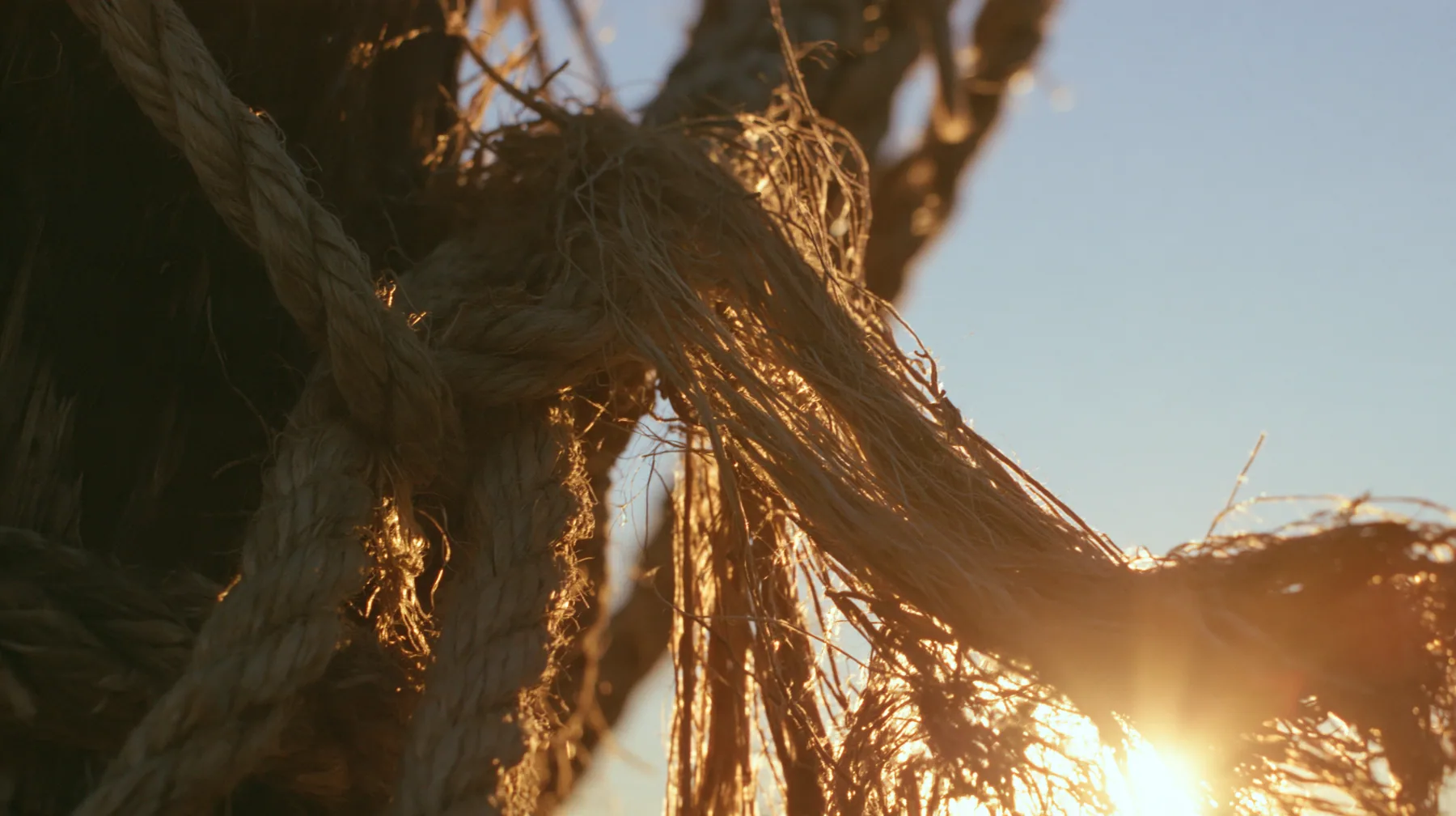 macro of hemp rope fibres fraying under strain around a wooden mast, sunrise, warm gold light and long shadows, spray lit gold, cinematic 35mm film still, anamorphic, fine grain, no text, no letters, no logos
