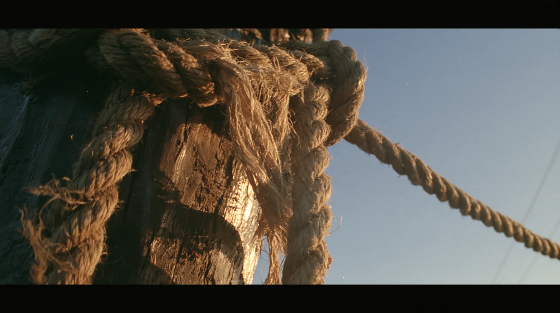 macro of hemp rope fibres fraying under strain around a wooden mast, sunrise, warm gold light and long shadows, spray lit gold, cinematic 35mm film still, anamorphic, fine grain, no text, no letters, no logos