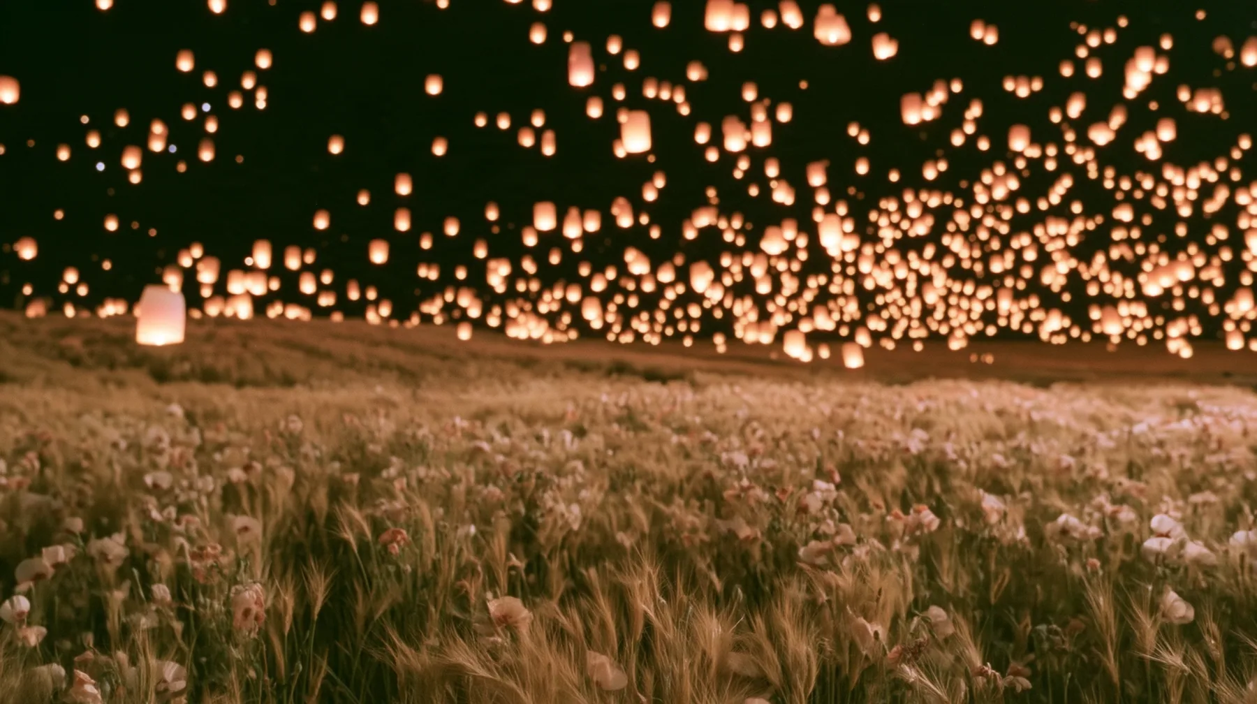 Make this the same photograph with nobody in it: remove the woman and continue the scene behind her where she stood. Keep everything else exactly: the night meadow and the thousands of glowing paper lanterns in the…