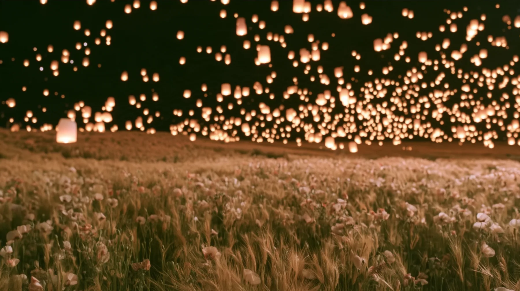 Make this the same photograph with nobody in it: remove the woman and continue the scene behind her where she stood. Keep everything else exactly: the night meadow and the thousands of glowing paper lanterns in the…
