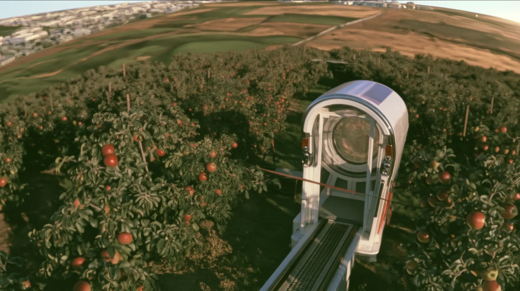 Make this the same photograph with nobody in it: remove the woman and continue the scene behind her where she stood. Keep everything else exactly: the little white tram on its rail, now empty, and the apple orchard…