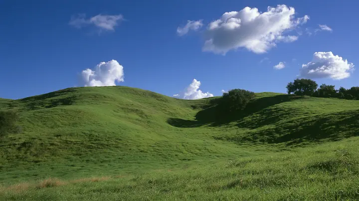 a smooth rolling bright-green grassy hill with soft curves, the grass short and velvety under a deep saturated cobalt-blue sky with a few soft white cumulus clouds drifting, bright midday sun, perfectly clean and…
