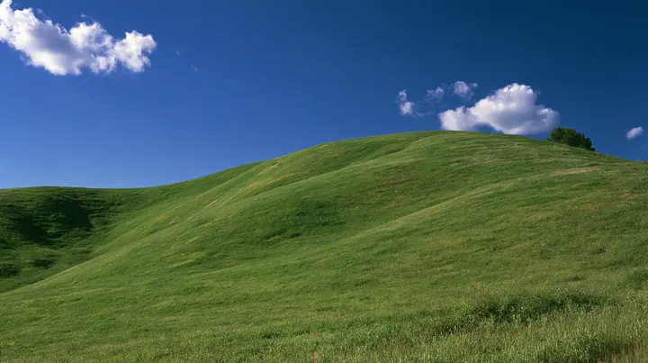 a smooth rolling bright-green grassy hill with soft curves, the grass short and velvety under a deep saturated cobalt-blue sky with a few soft white cumulus clouds drifting, bright midday sun, perfectly clean and…