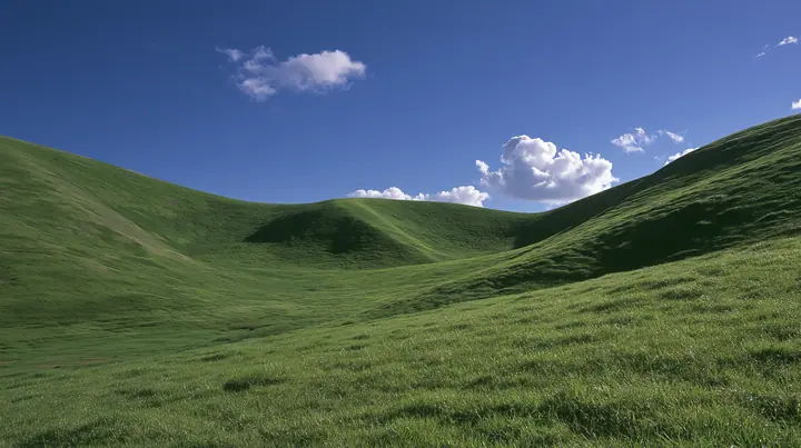 a smooth rolling bright-green grassy hill with soft curves, the grass short and velvety under a deep saturated cobalt-blue sky with a few soft white cumulus clouds drifting, bright midday sun, perfectly clean and…