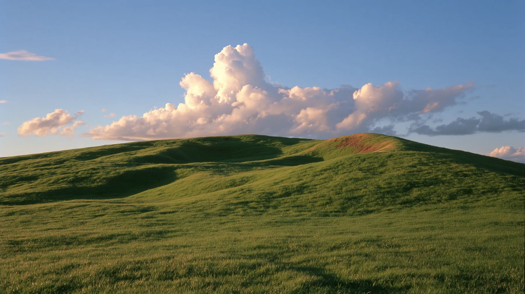 a smooth rolling bright-green grassy hill with soft curves, the grass short and velvety at golden hour, warm low sunlight raking across the grass, long soft shadows, a deep blue sky with glowing peach-edged cumulus,…