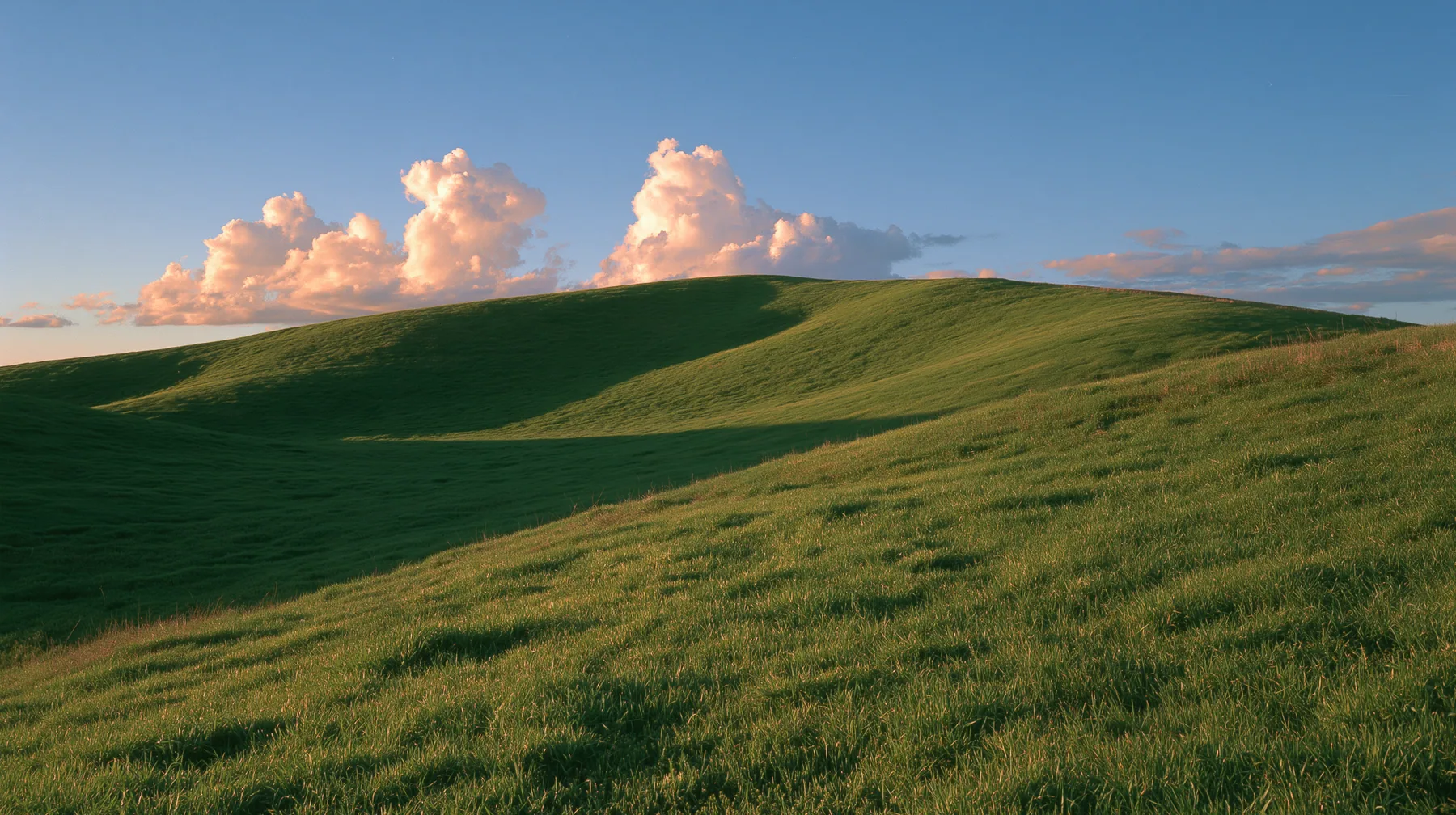 a smooth rolling bright-green grassy hill with soft curves, the grass short and velvety at golden hour, warm low sunlight raking across the grass, long soft shadows, a deep blue sky with glowing peach-edged cumulus,…