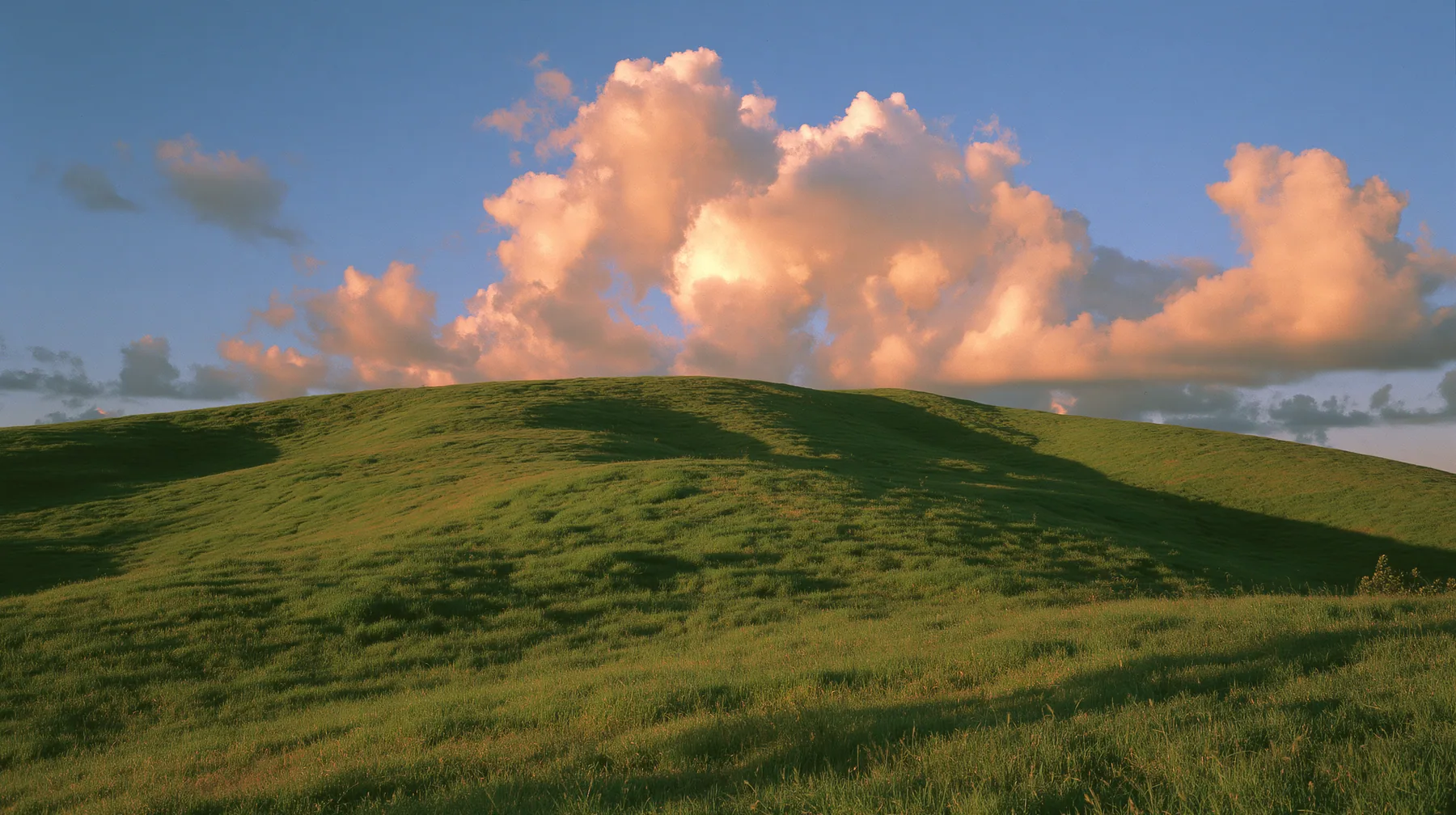 a smooth rolling bright-green grassy hill with soft curves, the grass short and velvety at golden hour, warm low sunlight raking across the grass, long soft shadows, a deep blue sky with glowing peach-edged cumulus,…