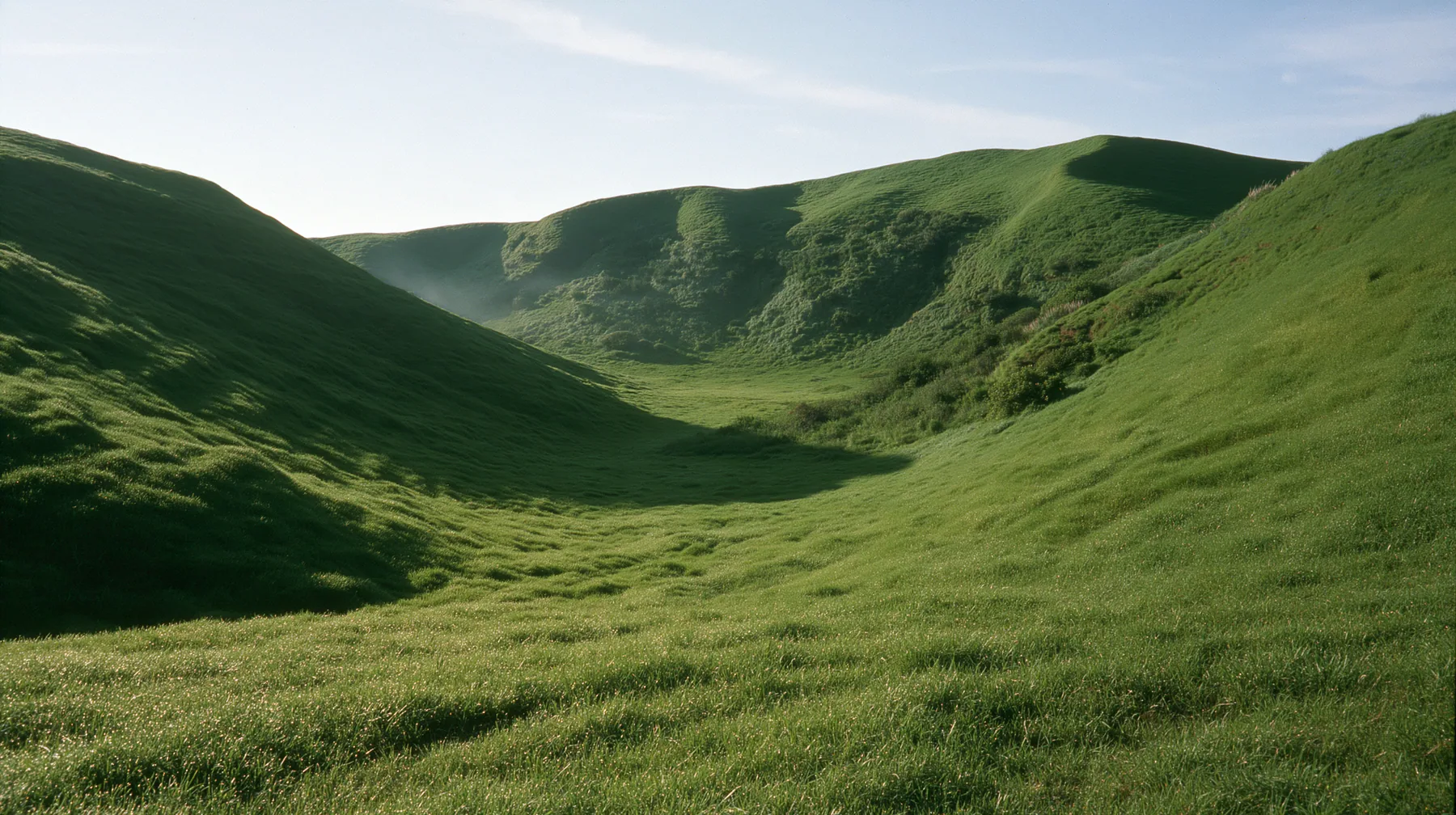 a smooth rolling bright-green grassy hill with soft curves, the grass short and velvety at early morning, pale clear sky with thin wisps of cloud, soft low sun from the left, a faint mist in the hollow, fresh and…