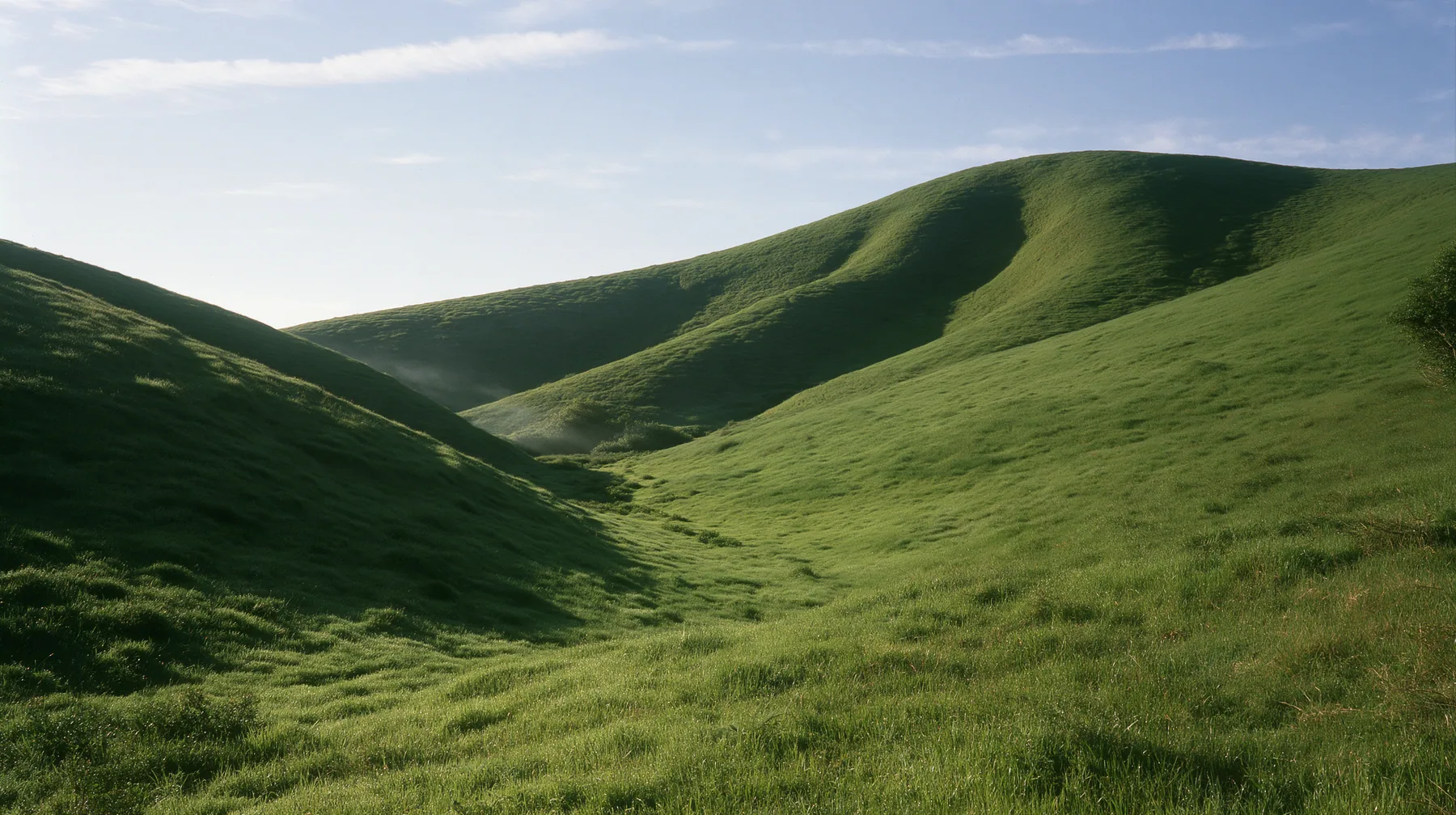 a smooth rolling bright-green grassy hill with soft curves, the grass short and velvety at early morning, pale clear sky with thin wisps of cloud, soft low sun from the left, a faint mist in the hollow, fresh and…