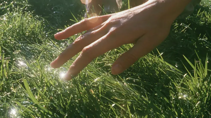 Y2K high fashion editorial photograph, 2001: first-person view of a hand gently brushing the tips of short bright-green grass, sunlight through the blades, dew, shallow depth of field, no text, no letters, no logos