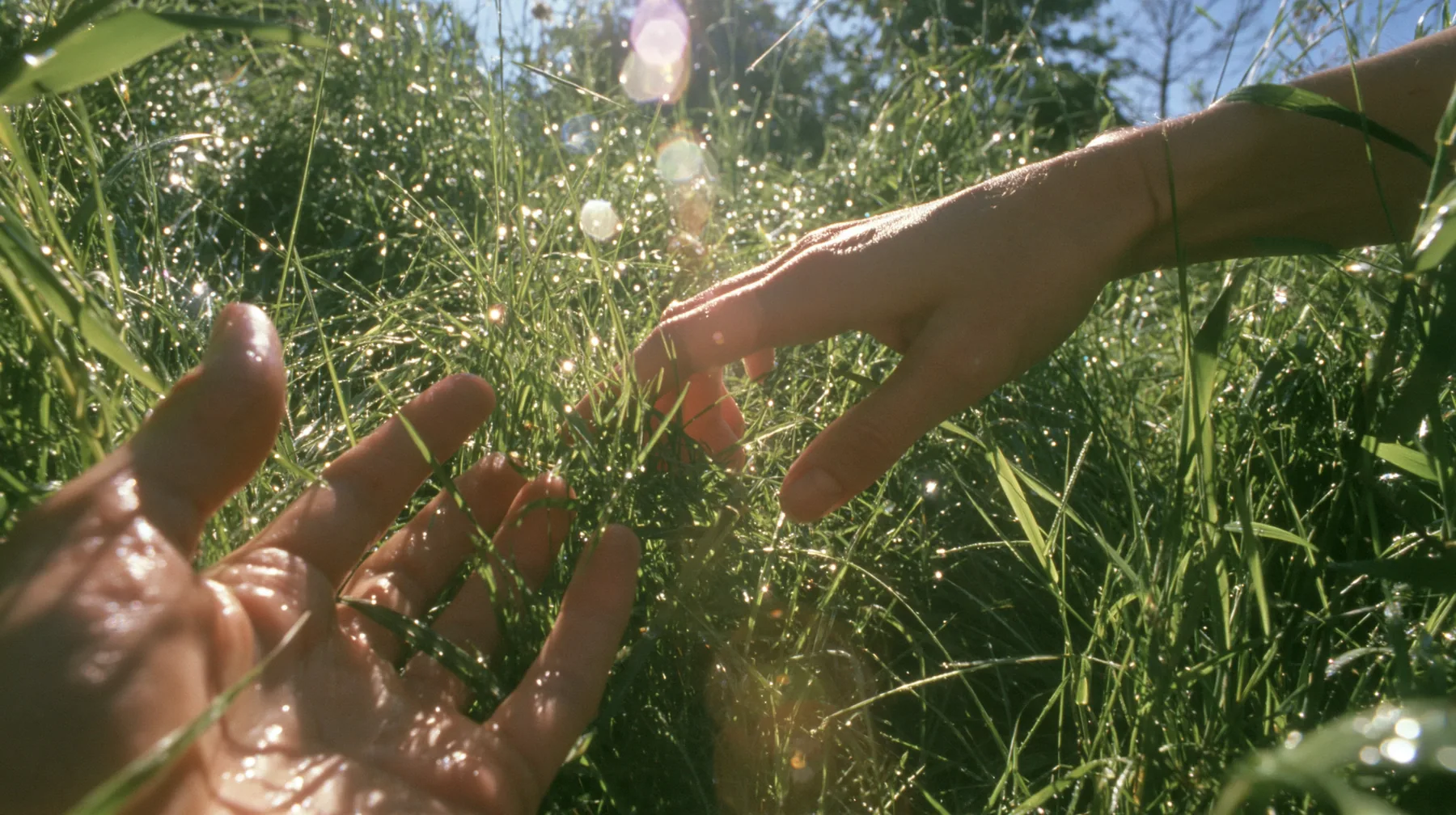 Y2K high fashion editorial photograph, 2001: first-person view of a hand gently brushing the tips of short bright-green grass, sunlight through the blades, dew, shallow depth of field, no text, no letters, no logos
