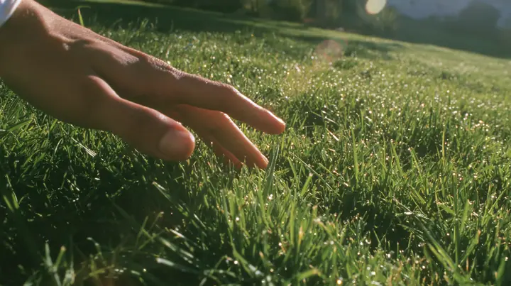 Y2K high fashion editorial photograph, 2001: first-person view of a hand gently brushing the tips of short bright-green grass, sunlight through the blades, dew, shallow depth of field, no text, no letters, no logos