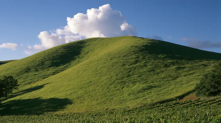Y2K high fashion editorial photograph, 2001: a luxury campaign landscape of a smooth rolling bright-green grassy hill with soft curves, the grass short and velvety at late golden hour, neat vineyard rows faint at its…