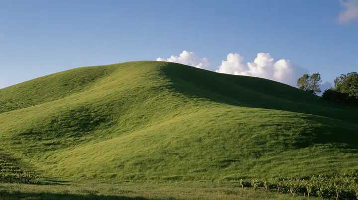 Y2K high fashion editorial photograph, 2001: a luxury campaign landscape of a smooth rolling bright-green grassy hill with soft curves, the grass short and velvety at late golden hour, neat vineyard rows faint at its…