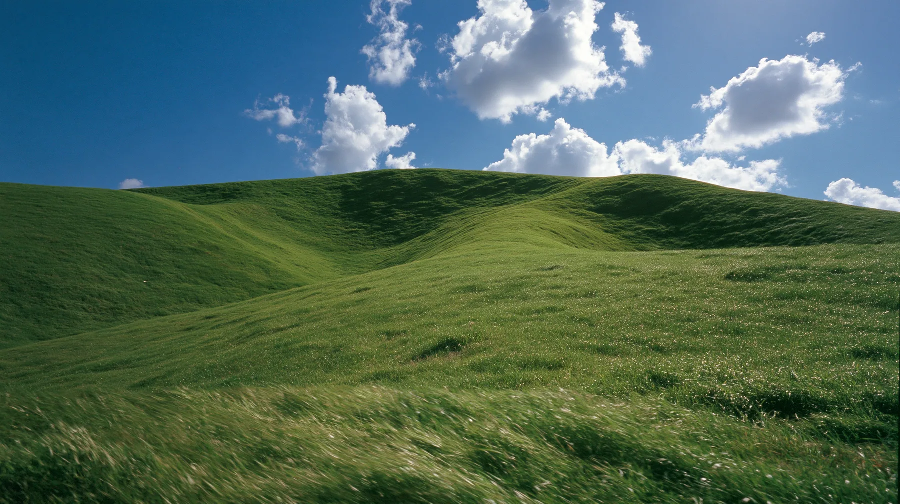 Y2K high fashion editorial photograph, 2001: first-person view walking up a smooth rolling bright-green grassy hill with soft curves, the grass short and velvety, the grass rushing past at the bottom of frame, the…