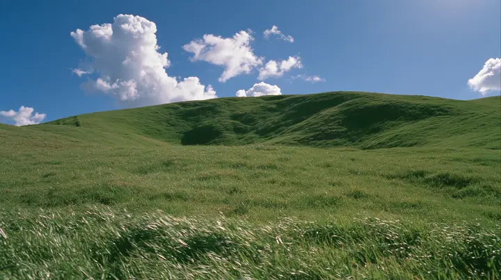 Y2K high fashion editorial photograph, 2001: first-person view walking up a smooth rolling bright-green grassy hill with soft curves, the grass short and velvety, the grass rushing past at the bottom of frame, the…