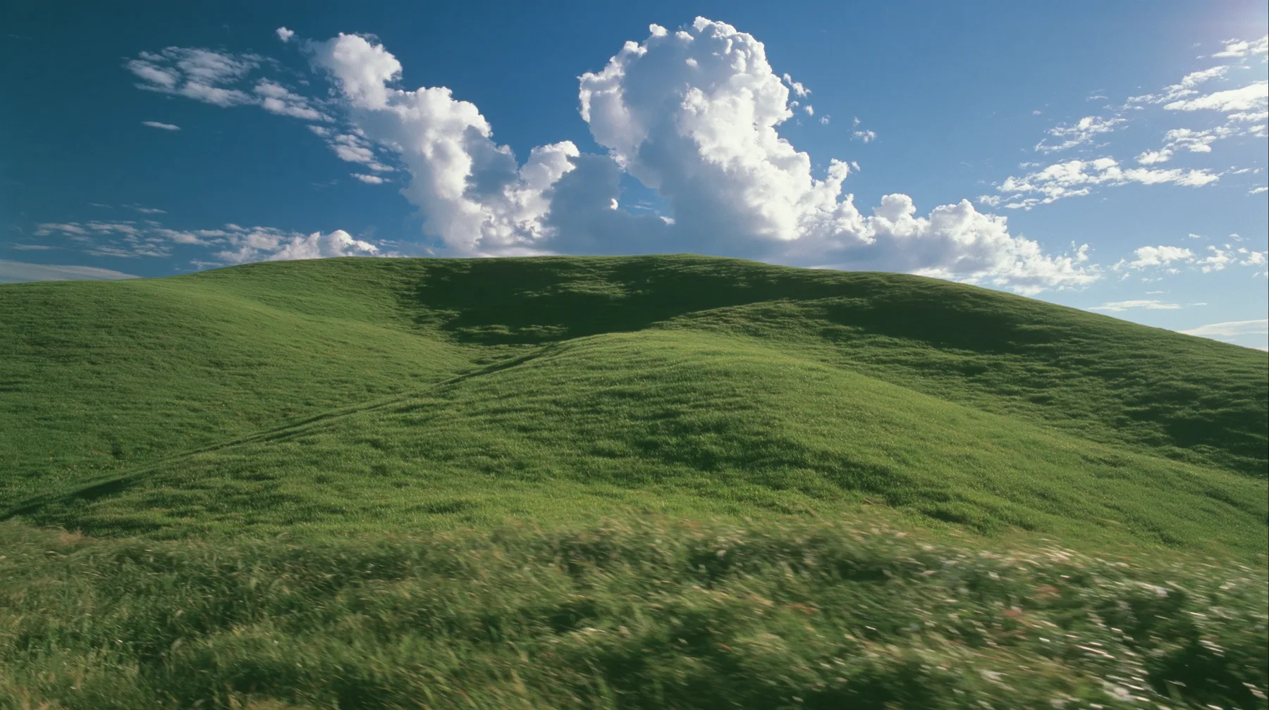 Y2K high fashion editorial photograph, 2001: first-person view walking up a smooth rolling bright-green grassy hill with soft curves, the grass short and velvety, the grass rushing past at the bottom of frame, the…