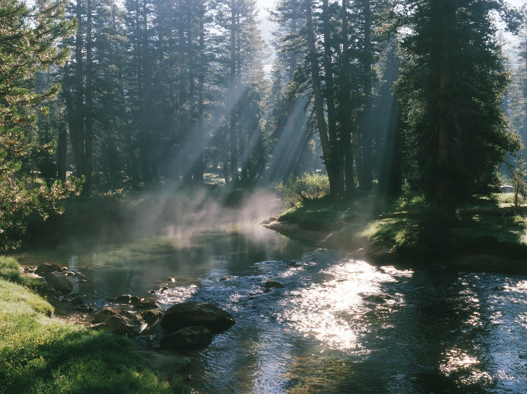 Y2K high fashion editorial photograph, 2001: a luxury travel campaign photograph of a lodgepole pine forest with sunbeams through morning mist beside a clear river, no text, no letters, no logos