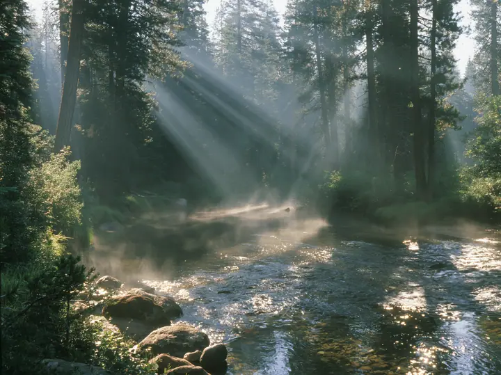 Y2K high fashion editorial photograph, 2001: a luxury travel campaign photograph of a lodgepole pine forest with sunbeams through morning mist beside a clear river, no text, no letters, no logos