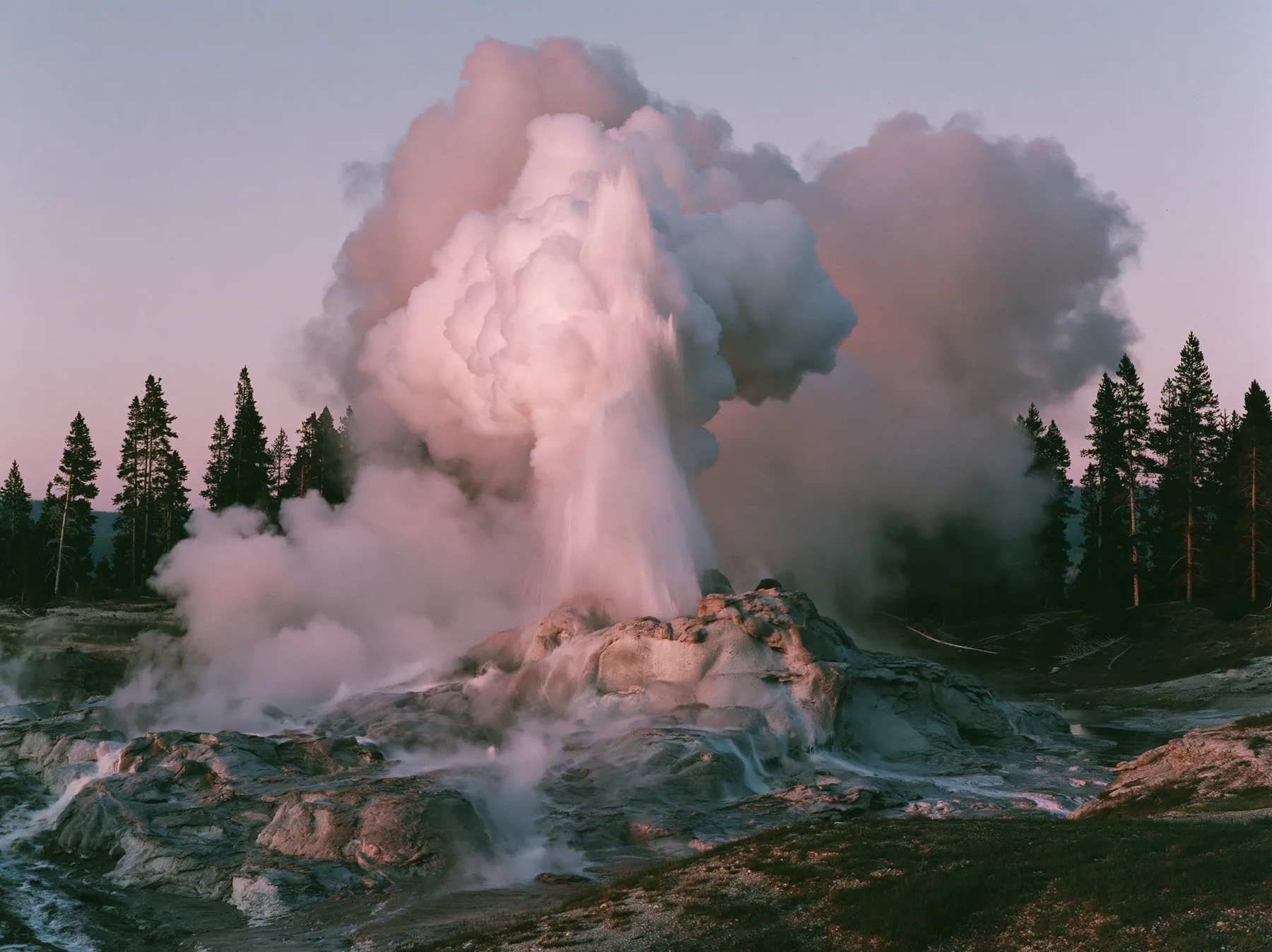 Y2K high fashion editorial photograph, 2001: a luxury travel campaign photograph of a tall geyser erupting at dawn against a pale pink sky, steam billowing, lodgepole pines behind, no text, no letters, no logos
